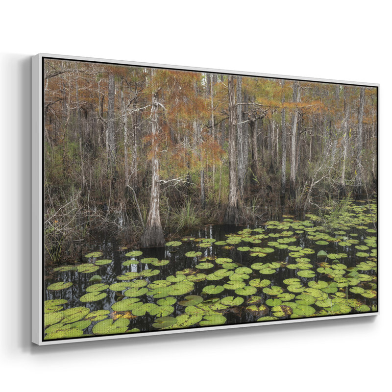" Bayou Fall ", White, 25" H x 37" W x 2" D