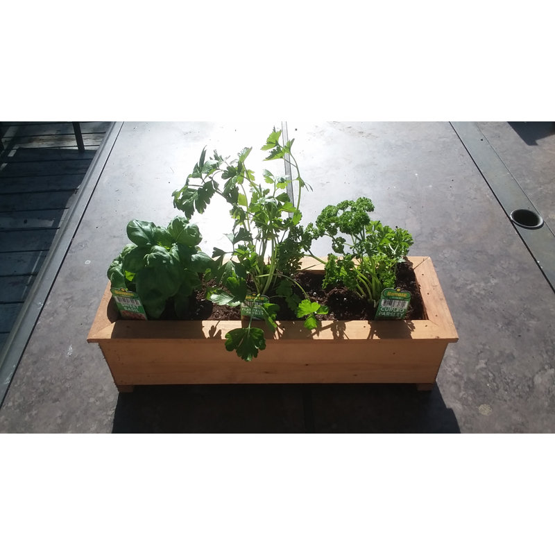 Jayne Handmade Wood Planter Box, 4.5" H x 16.5" W x 5.5" D