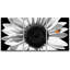 «Sunflower A Ladybug on a Sunflower», ensemble de 3 reproductions de photos sur toiles tendues-102155664-56497711