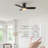 Ogdensburg 44'' Ceiling Fan with LED Lights-1258512656