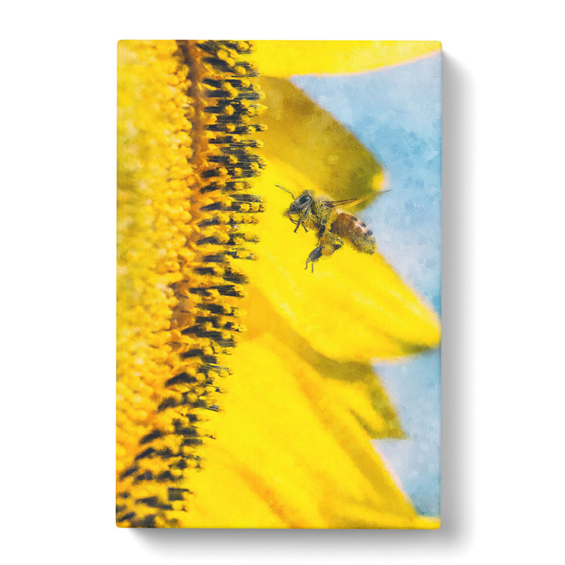 Busy Bee And Yellow Flower - Wrapped Canvas Print, 60cm H x 40cm W x 3cm D