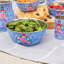  Picnic Bowl - 21.5cm-88069541