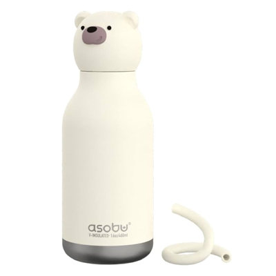 Asobu 475ml Double Wall Insulated Stainless Steel Water Bottle