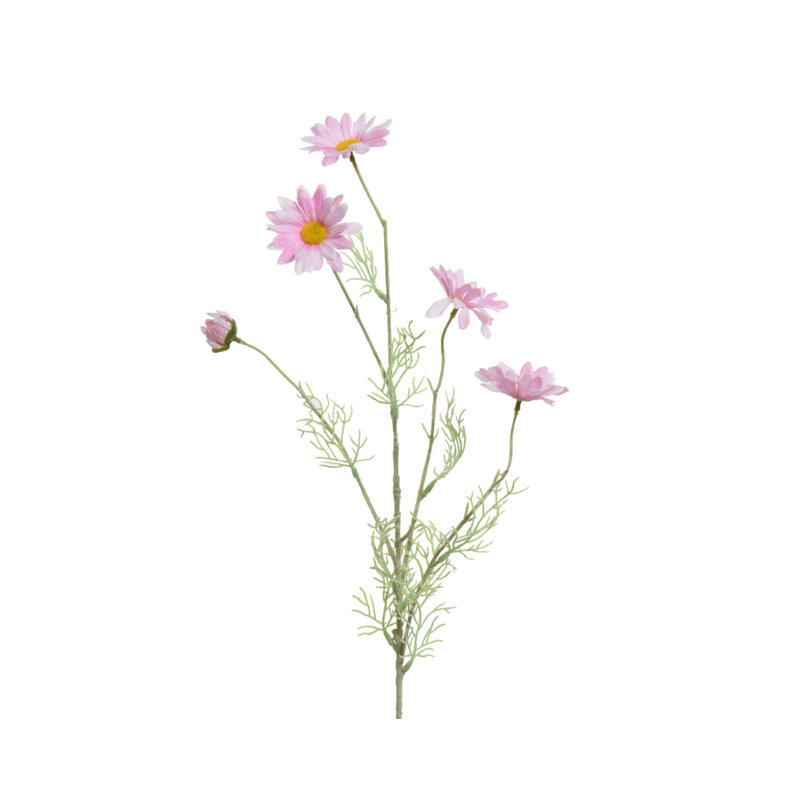 Daisy Arrangement, Pink