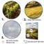 «Vineyard Charm», impression sur toile-363432583-363432578