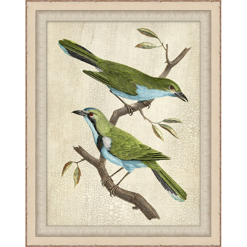 Blue Birds 5 - Peinture encadrée sur papier