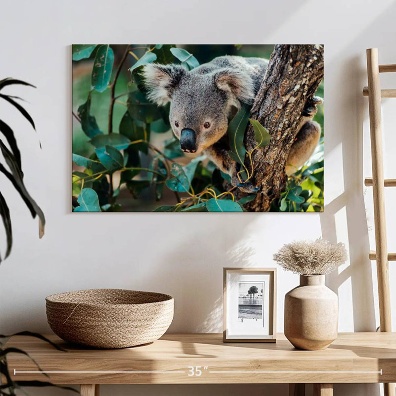 Australia Koala, 16" H x 24" W