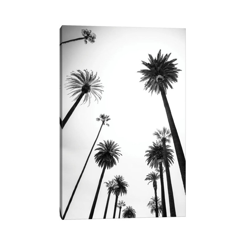 Beverly Hills Palm Trees Alley by Philippe Hugonnard - Wrapped Canvas Print, 30.48 cm H x 45.72 cm W