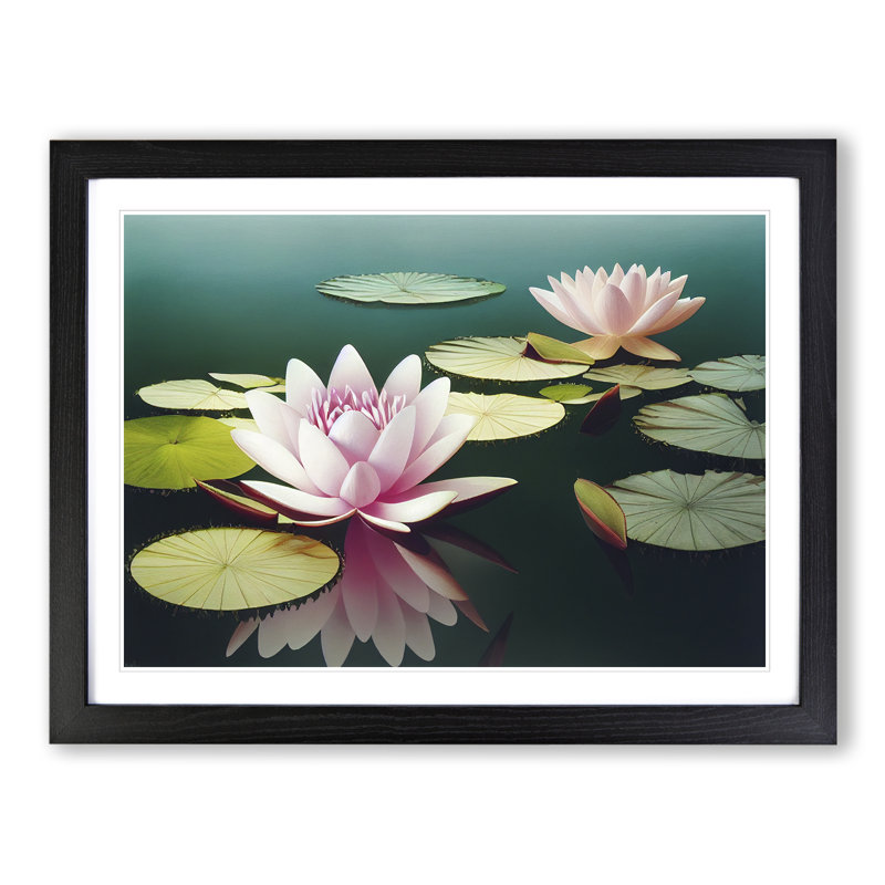 Spirited Water Lily Flowers - Single Picture Frame Print, 34cm H x 46cm W x 2cm D, Black