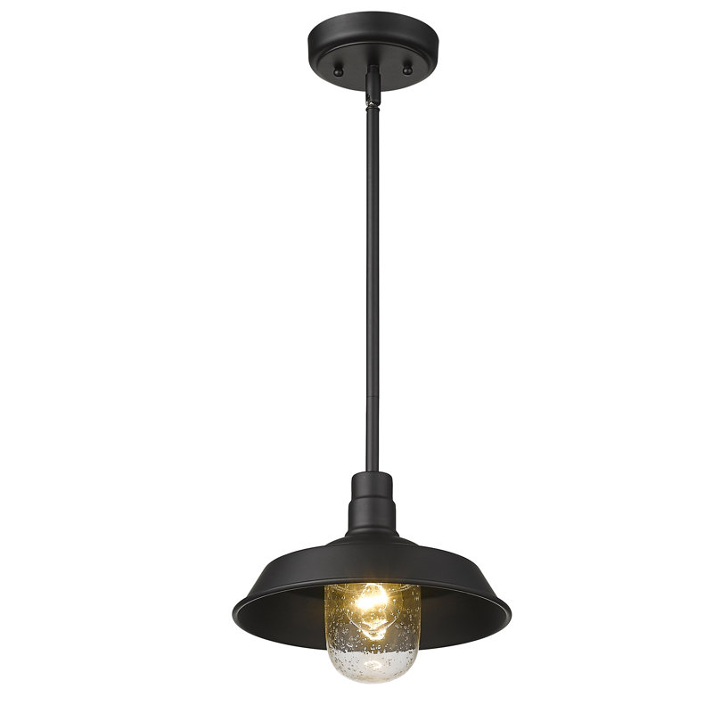Luminaire suspendu pour dôme simple 1 lumières Sussman