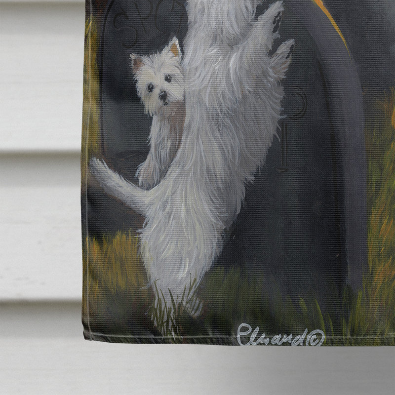Drapeau de maison Hvidovre Sheltie Halloween en polyester à 2 faces 3 x 2 pi, Westie méchante sorcière