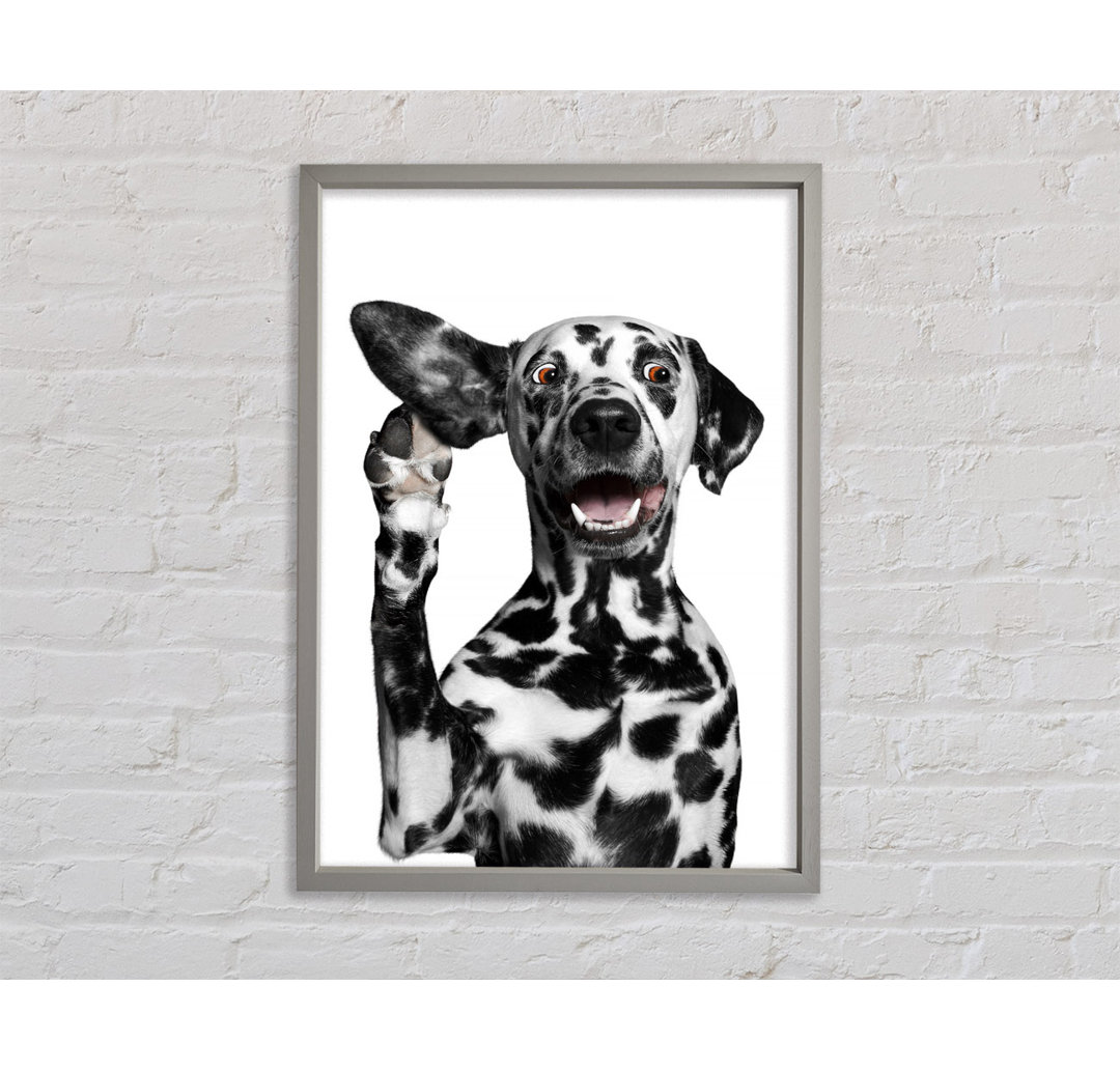 Dalmation Dog High Five - Einzelner Bilderrahmen Kunstdrucke auf Leinwand