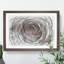 Pink Rose Flower Vol.3 - Picture Frame Drawing-62804213-62804216