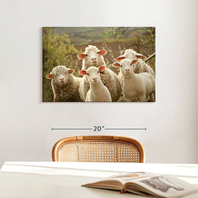 Stunned Sheep, 16" H x 24" W