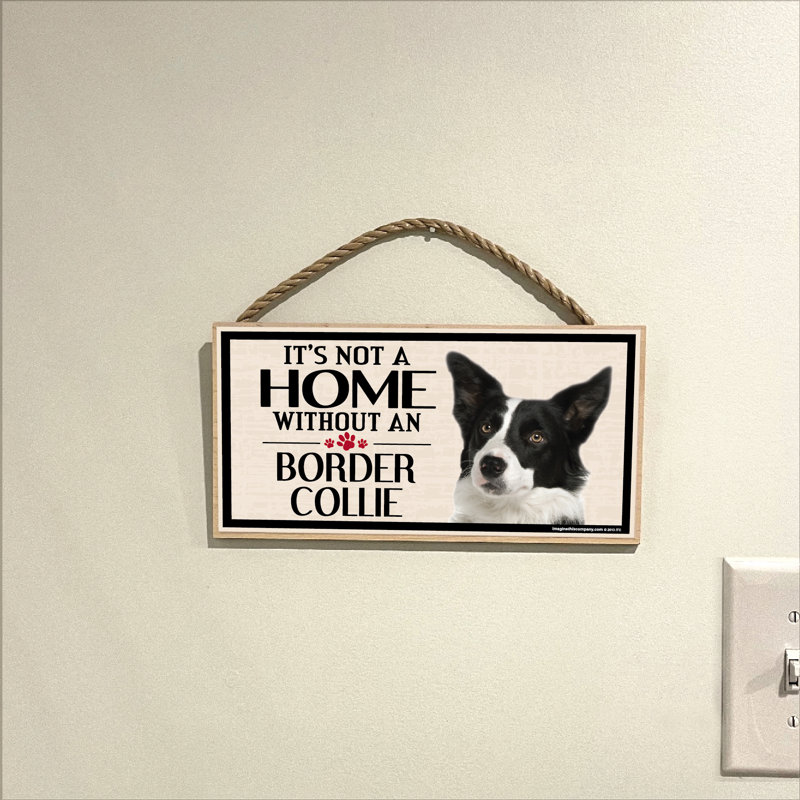 «It's Not a Home less Our Border Collie»