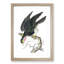 Blue Falcon by George Shaw - Framed Print-57844432-57844434