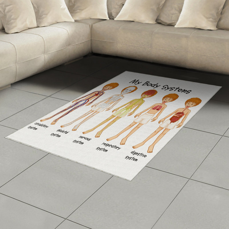 Tapis décoratif en fibre de polyester à haute densité, Rectangle— 4 pi x 5 pi 8 po
