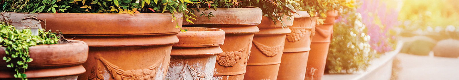 Jackson Pottery