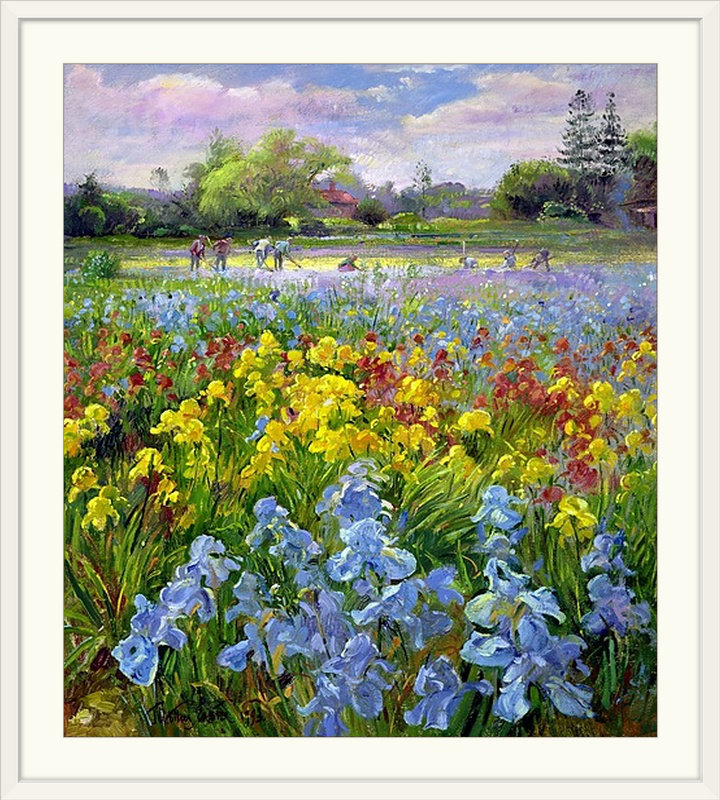 «Bideford Hoeing Team and Iris Fields» par Timothy Easton, reproduction d'art, H 24 po x l 19 po x p 1 po, Cadre blanc