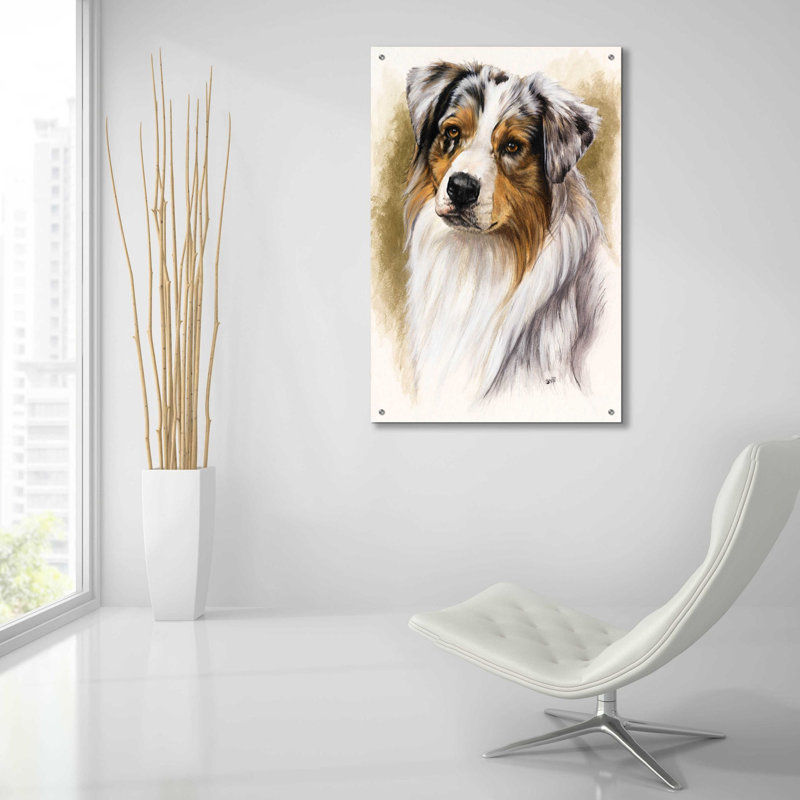 «Australian Shepherd» par Barbara Keith - reproduction non encadrée, L 12 po x H 16 po
