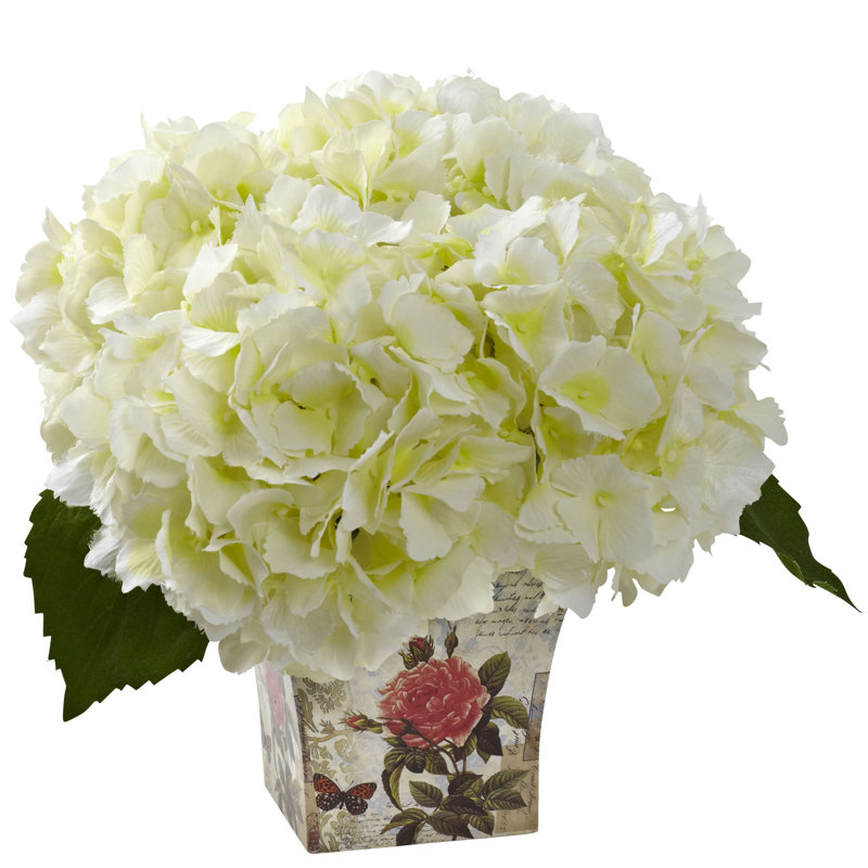 Arrangement floral d'hortensias en pot, Crème