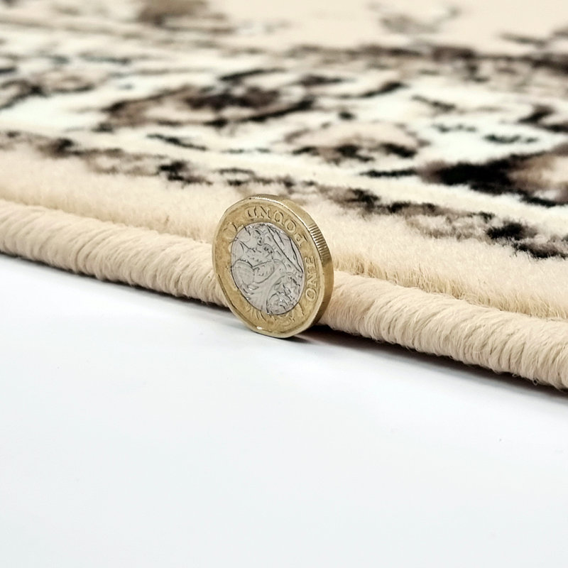 Alizeh Oriental Area Rug, Rectangle 200 x 290cm
