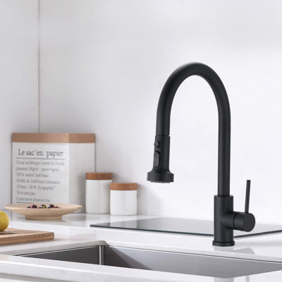 Eqloo Beckville Pull Down Kitchen Faucet
