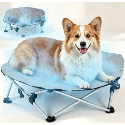 No-Assembly Elevated Dog Bed L Dia75cm
