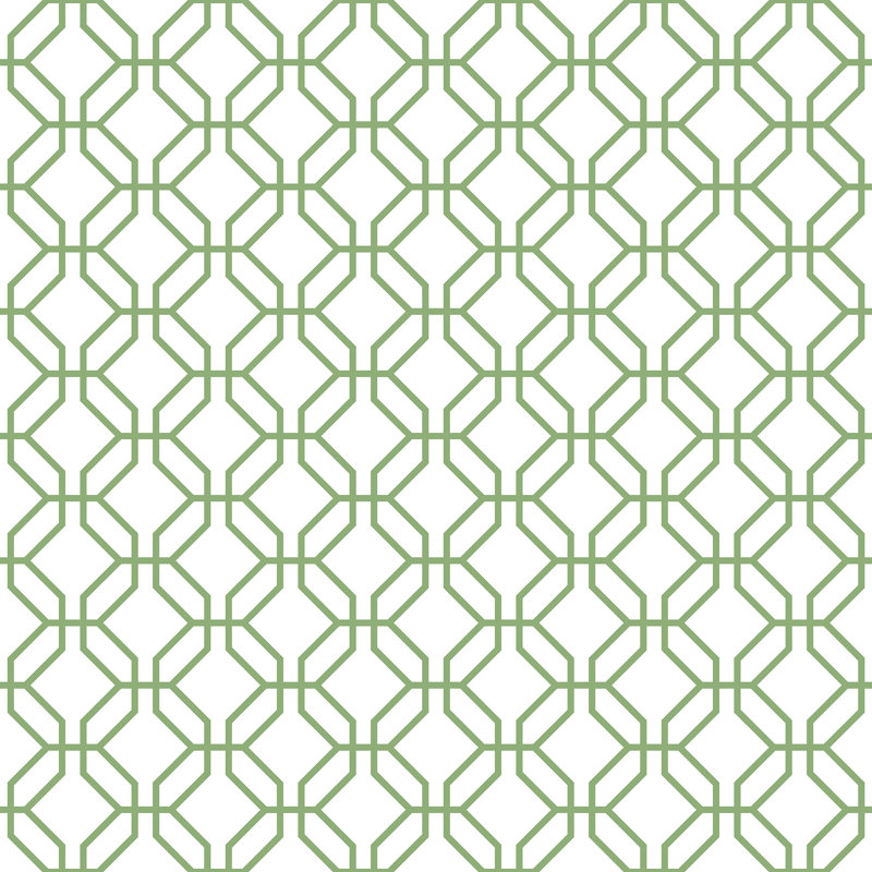 Brylee 10m x 53cm Matte Wallpaper Roll, White/Green