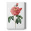 Botanical Beauty III - Gallery Cavas-629194034