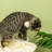 Leyden 90cm H Cat Tree