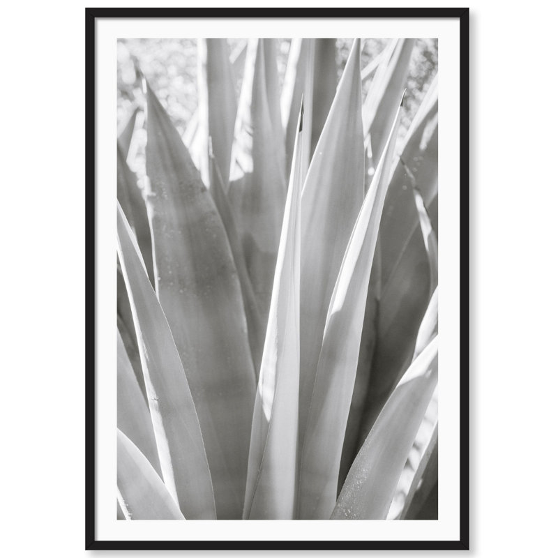 Muted Cactus Print by Carly Tabak, Black Wood, 31" W x 44" H