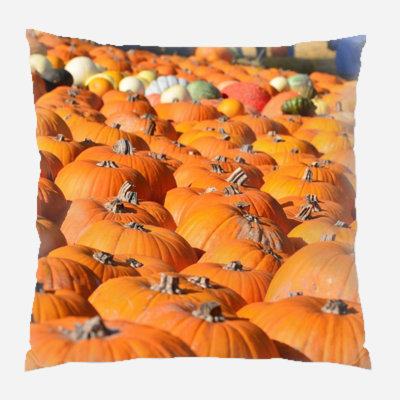  Coussin décoratif intérieur / extérieur Autumn