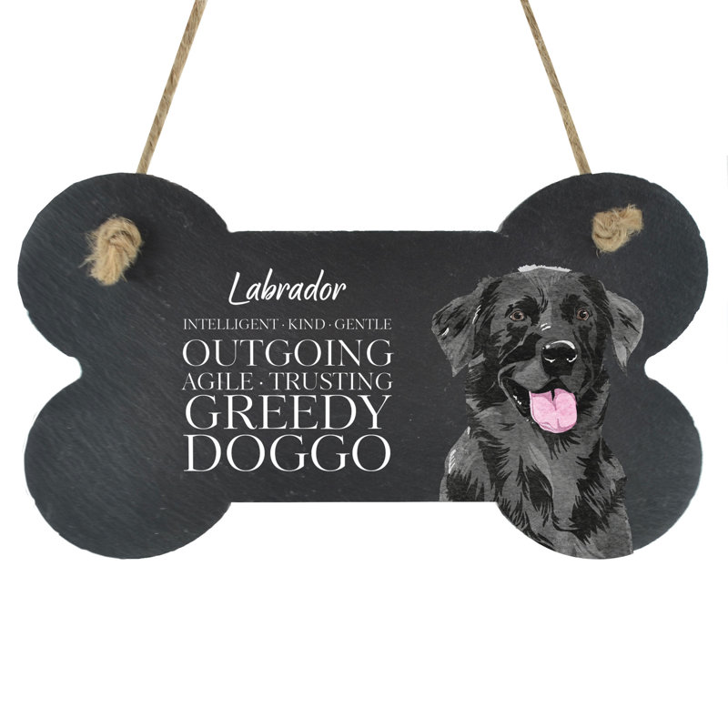 Vivid Squid Wholesale Animals Box Signs & Plaques