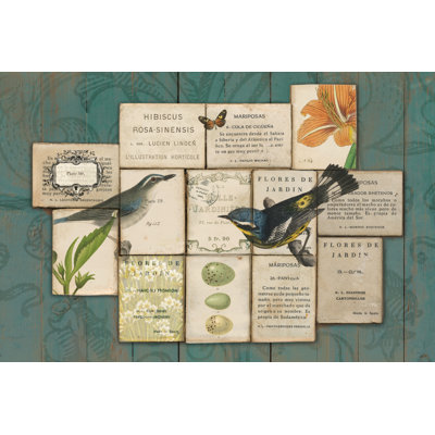 Oiseaux du jardin