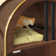 Cat Litter Box Enclosure