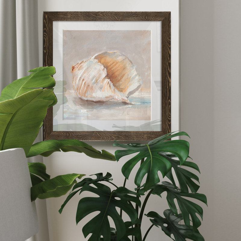 Impressionist Shell Study IV - Cadre photo, reproduction d'art sur papier, Cadre noyer, H 35,5 po x l 35,5 po x P 1,5 po