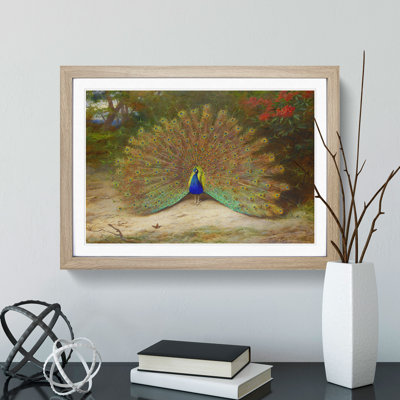 Peacock by Archibald Thorburn - Picture Frame Painting