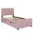 Rose est en rupture de stock