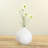 Cosmos Arrangement-86731882