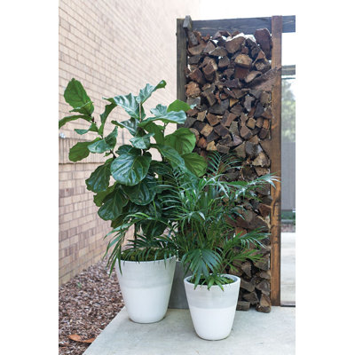 Planter