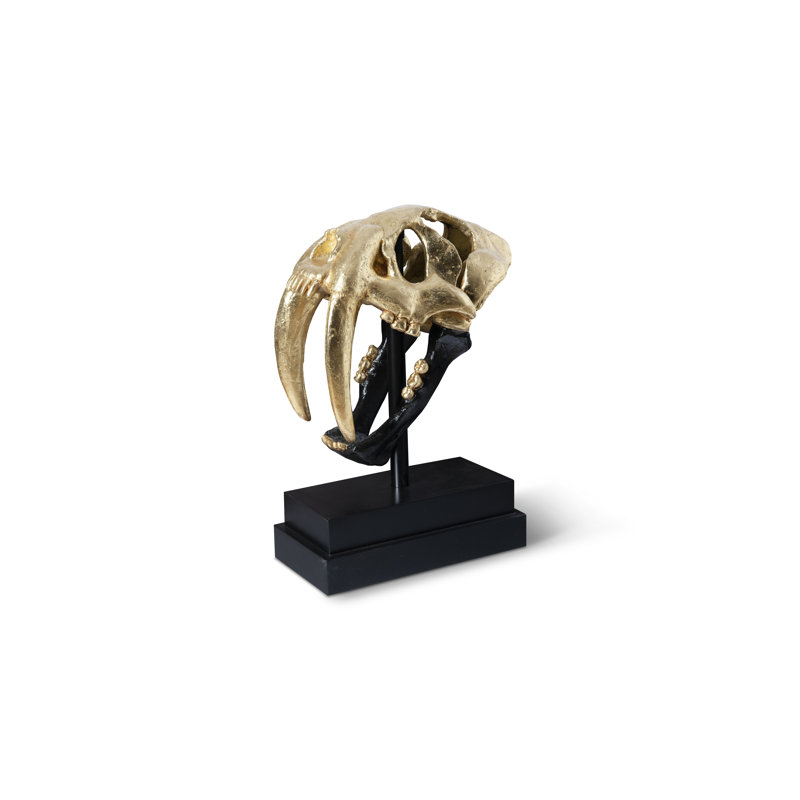 Saber Tooth Tiger Skull, Black/Gold