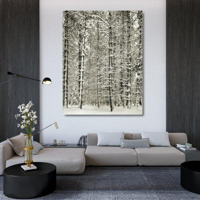 Pine Forest In The Snow, Yosemite Nation