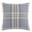 Arthur Euro Pillow Cover & Insert-64627410