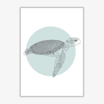 Marine Animals Turtle - Print