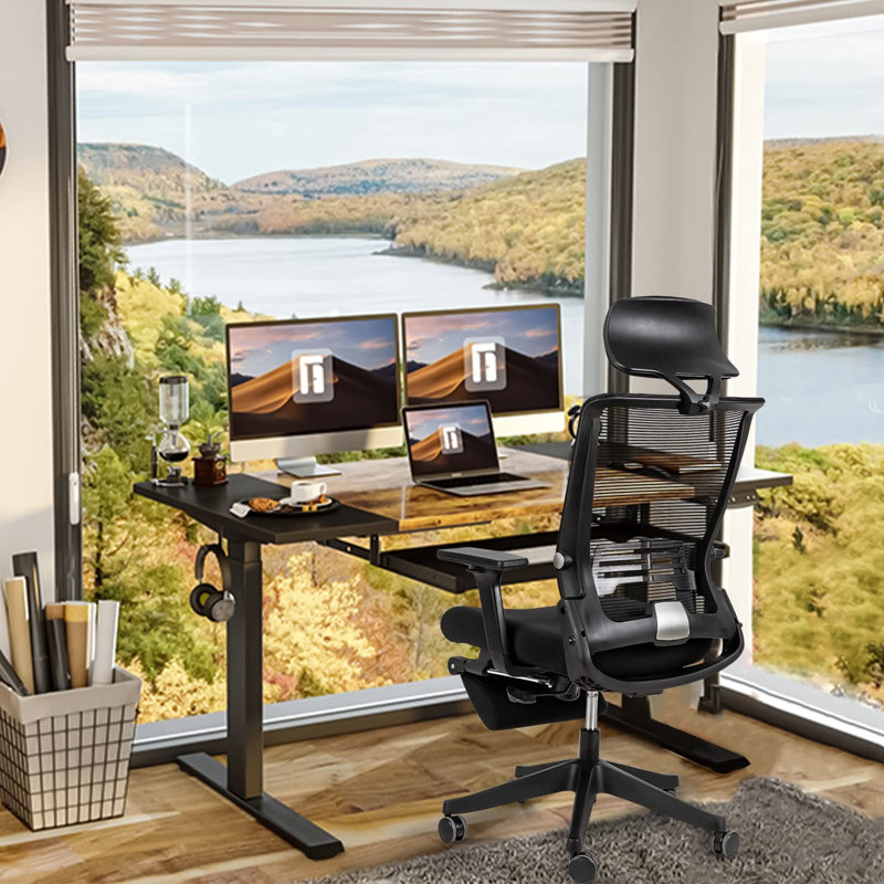 Fauteuil de direction ergonomique Terramuggus