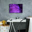 «Striped Long Tentacle Anemone» par Epic Portfolio, art mural sur toile-1287144973