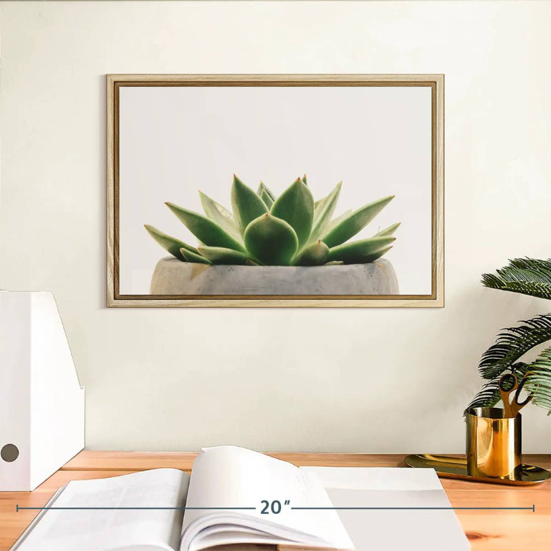 Plante grasse en pierre, Cadre flottant en bois naturel, 13 po x 9 po