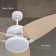 Light Pro LED Indoor Smart Ceiling Fan With Remote Control