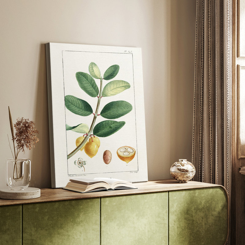 Turpin Tropical Botanicals V - galerie sur mesure, H 18 po x l 12 po